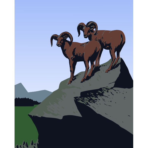 Mountain goats image