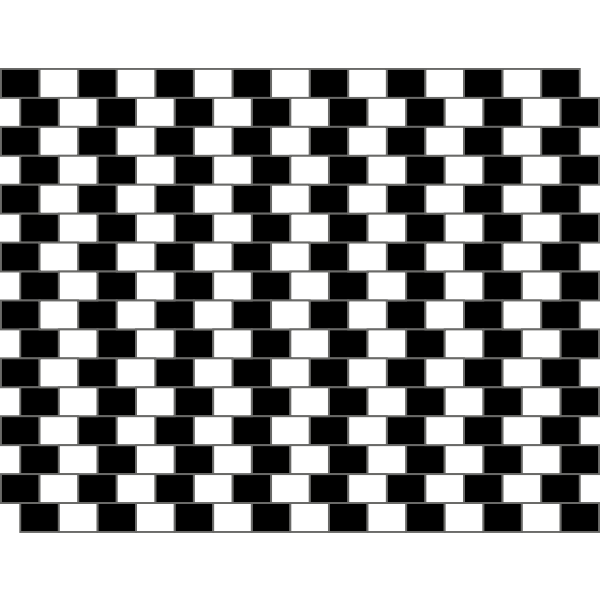 OpticalIllusion2