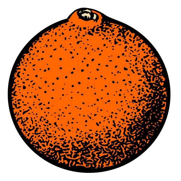 Orange 3