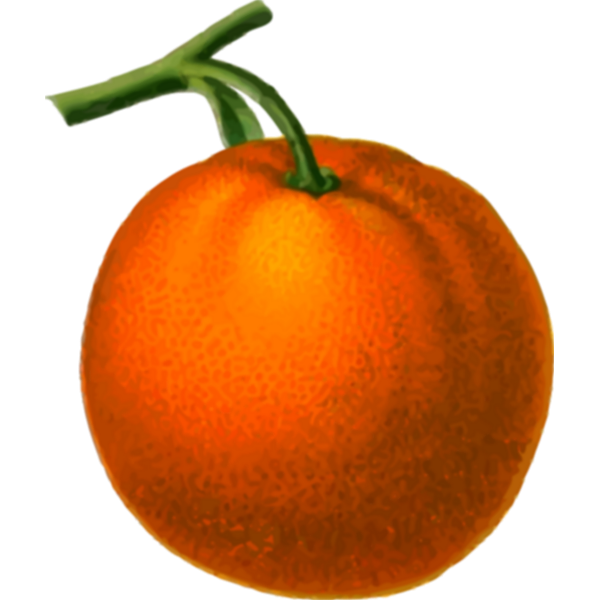 Ripe orange