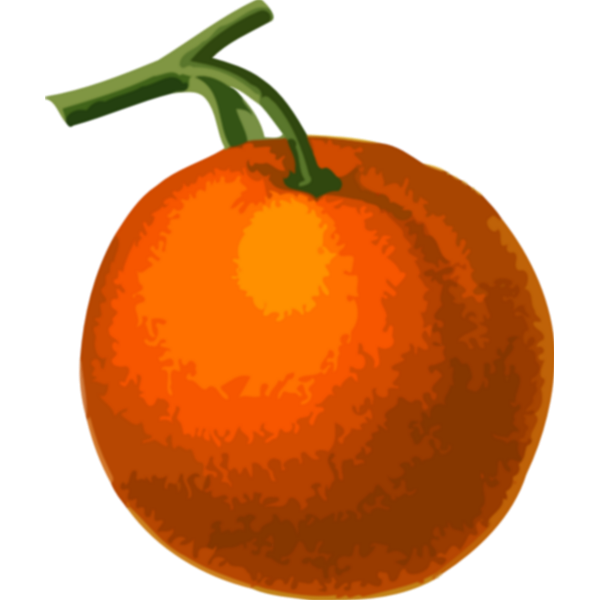 Orange fruit