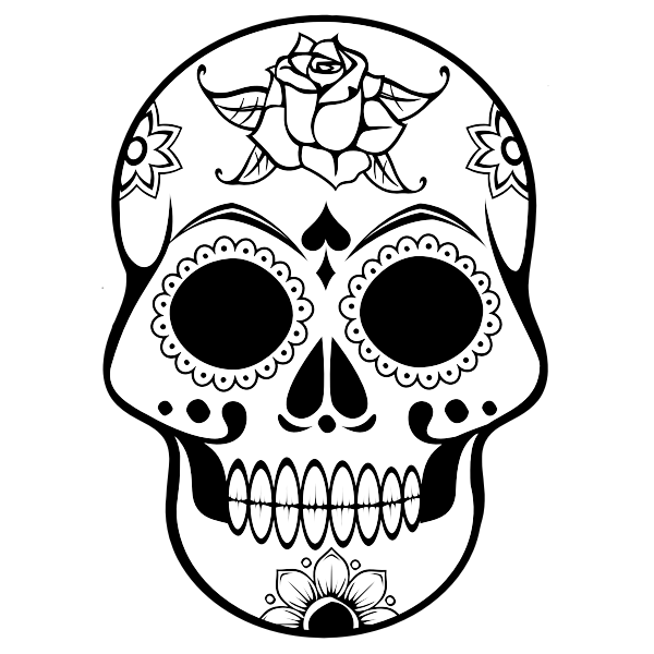 Line art vector image of human skull