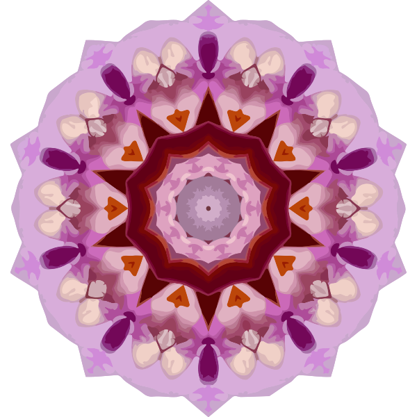 OrchidKaleidoscope6