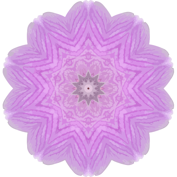 OrchidKaleidoscope9