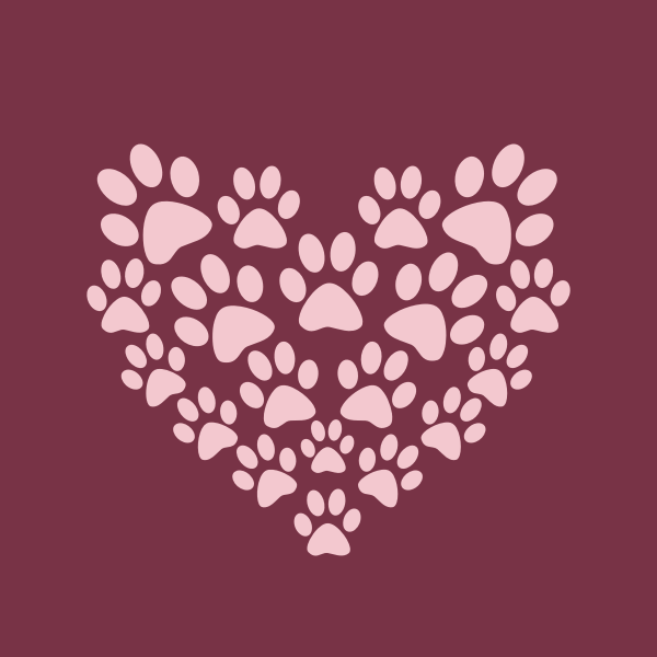 Paw prints vector image