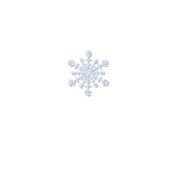 Snowflake vector icon