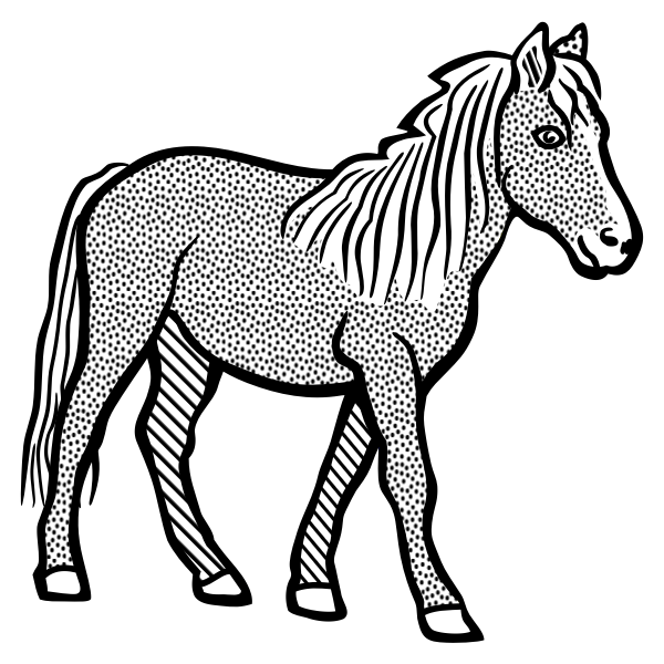 Pony image