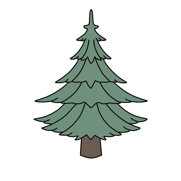Pine 11
