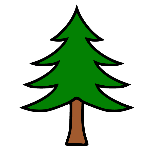 Pine 16