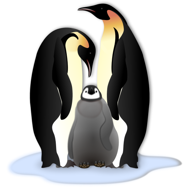 Penguin family in color illustration