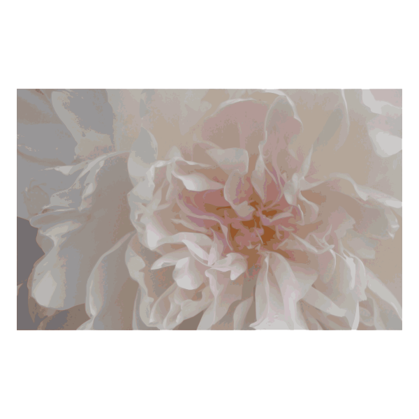 Pink peony02