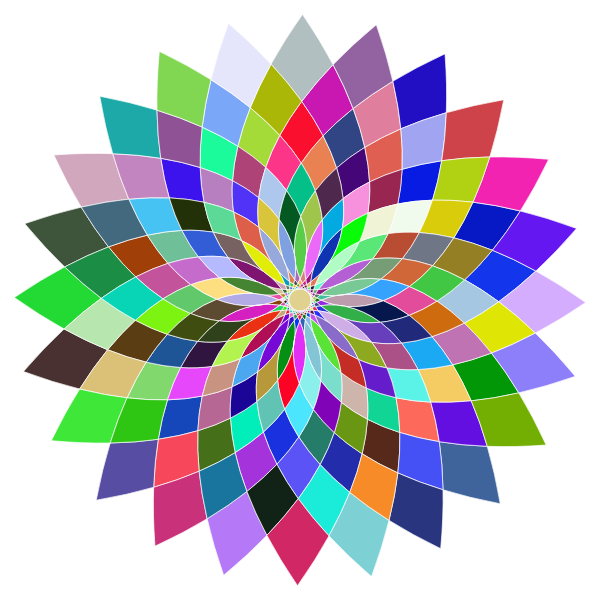 Prismatic Abstract Flower Line Art II