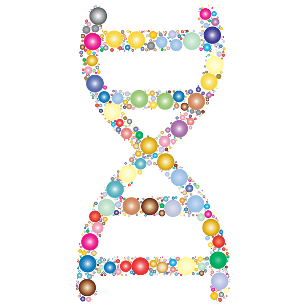 Prismatic DNA Helix Circles 2