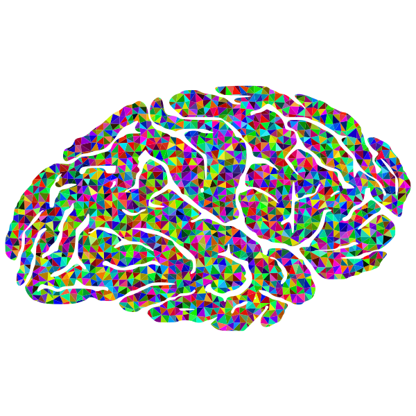 Colorful brain-1629233137