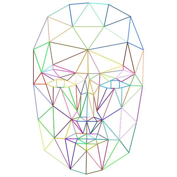 Prismatic Low Poly Wireframe Head No Background