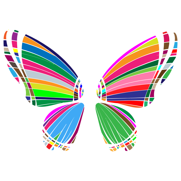 RGB Butterfly Silhouette 10