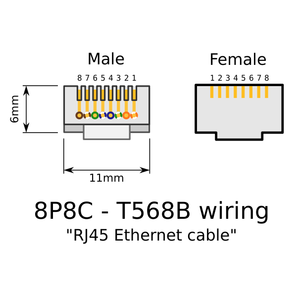 RJ 45 plug and jack