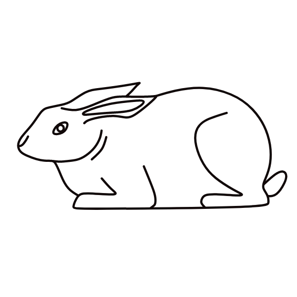 Rabbit XVII