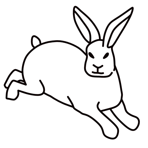 Rabbit XV