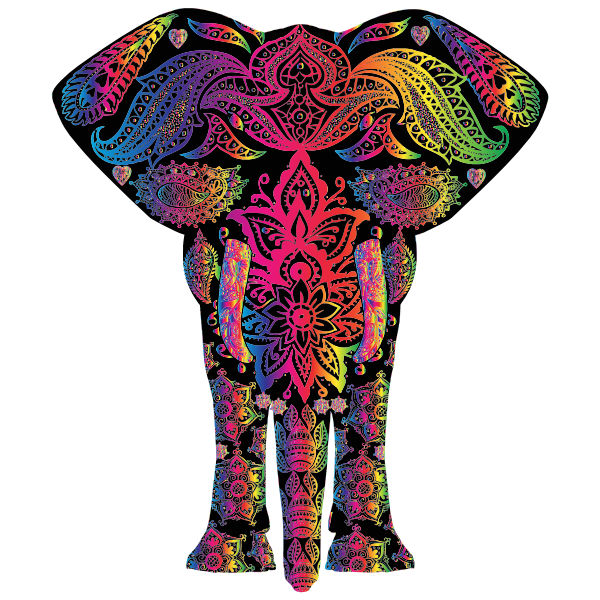 Rainbow floral pattern elephant