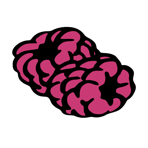 Raspberry II
