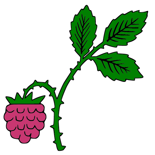 Raspberry I