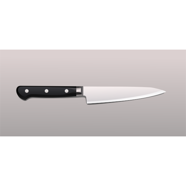 Kitchen knife