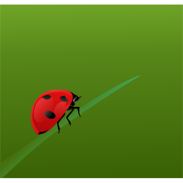 Realistic ladybug