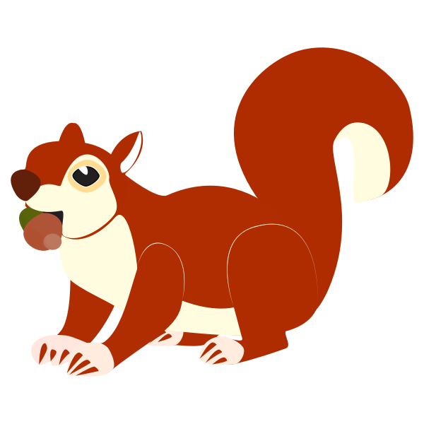 Red squirrel