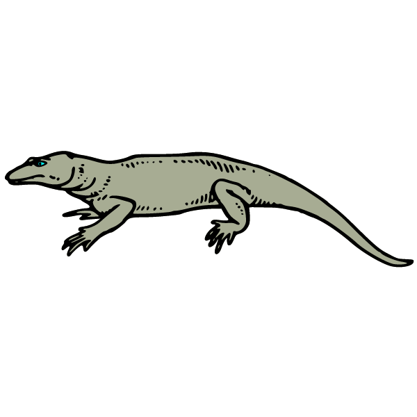 Reptiles IV