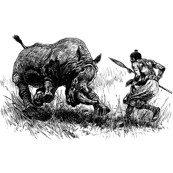 Rhinoceros XV