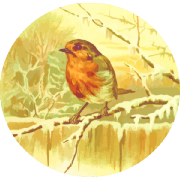 Robin image