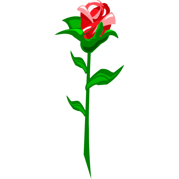 Rose19Red