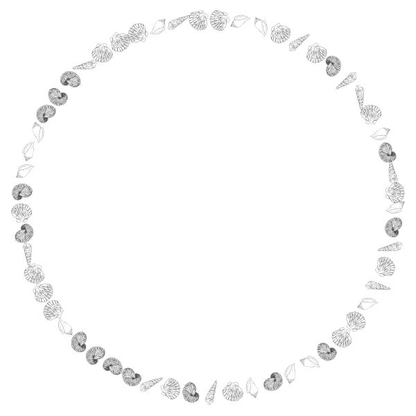 Round Shells Frame 2