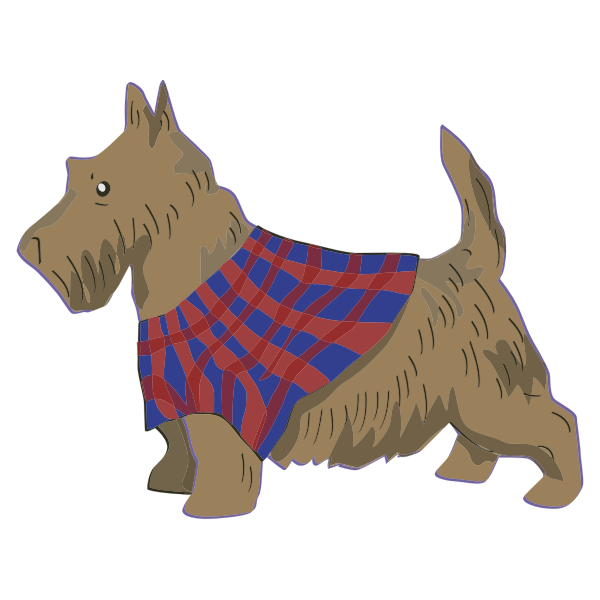 Scottish Terrier