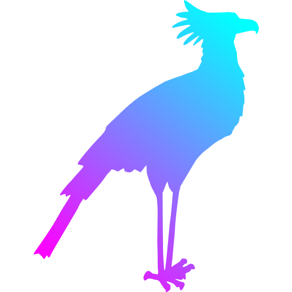 Secretary Bird Colour Reduced