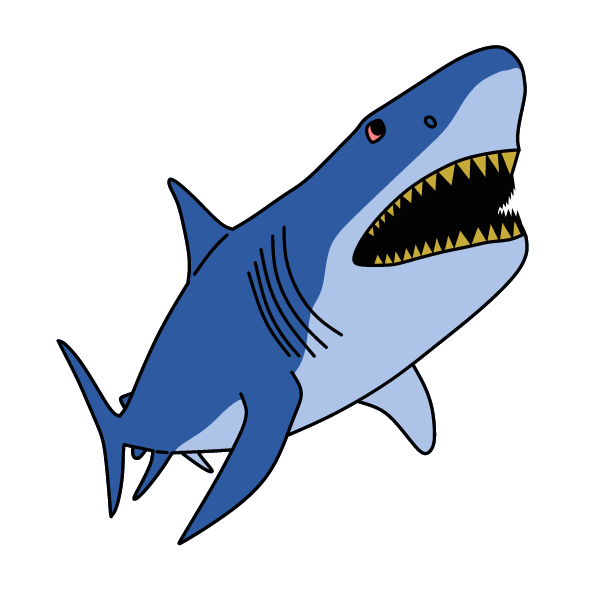 Shark 12