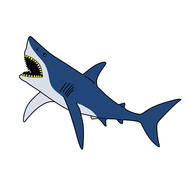 Shark 14