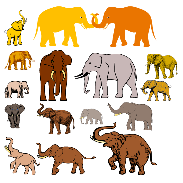 Sixteen elephants