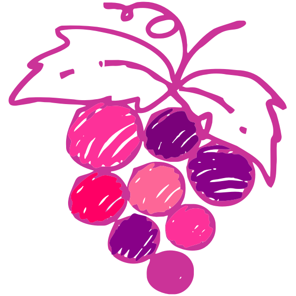 Sketched grapes image