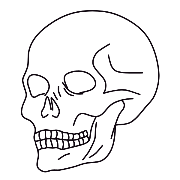 Skull VI
