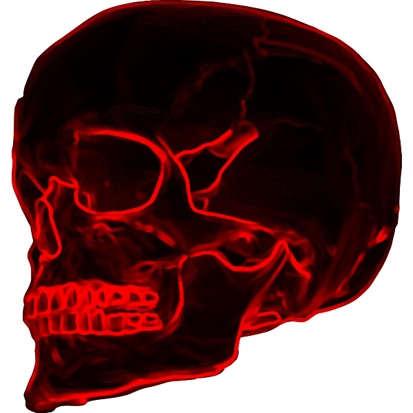 Skull19