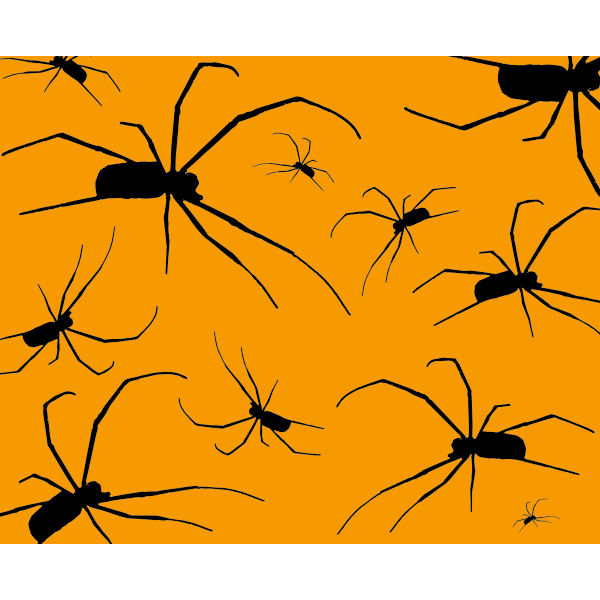 Spiders With Orange Background