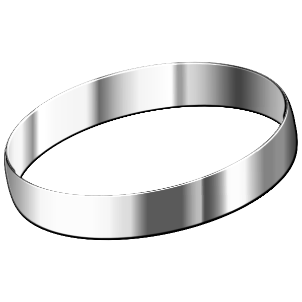 Stainless steel ring