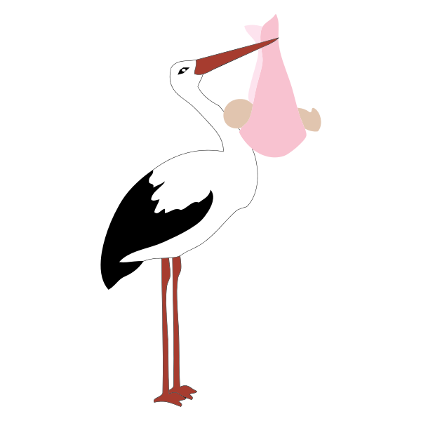 Stork Delivering Baby Girl