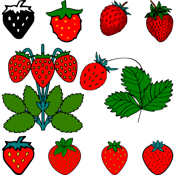 Strawberries-1731644887