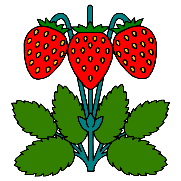 Strawberry VII