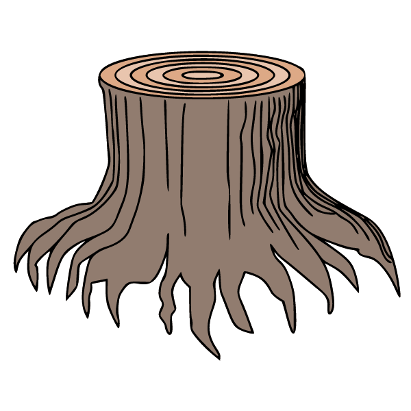 Stump 3