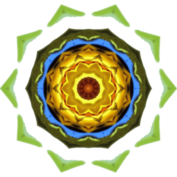 SunflowerKaleidoscope23