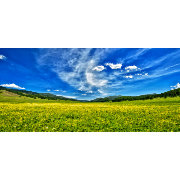 Spring meadow and blue sky